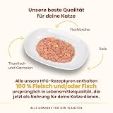 Almo Nature HFC Natural Katzenfutter nass -Thunfisch und Garnelen 24er Pack (24 x 70g)