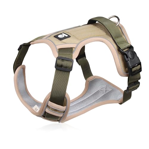 [Tumanld]pn[lX Zbg,m[h~,Ԕ˃fUCňS,\ȃIbNXf,^璴^p,1.5m[ht,AEghAUɓK