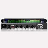 Graphic Equalizer Hifi, 31-Band Digital Equalizer, 1U Rack Mount Spectrum Analyzer, with Noise Reduction, 10 Preset Effects, High/Mid/Bass Adjustment, for Recording Studio