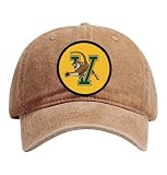 R and R Imports Vermont Catamounts Officially Licensed Unisex Dad Hat with Round Cloth Patch Coffee