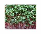 Seeds & Plants Shop by Ipsa