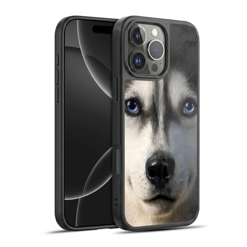 Coque Husky Sibérie iPhone 16 Pro Max style pour passionnés