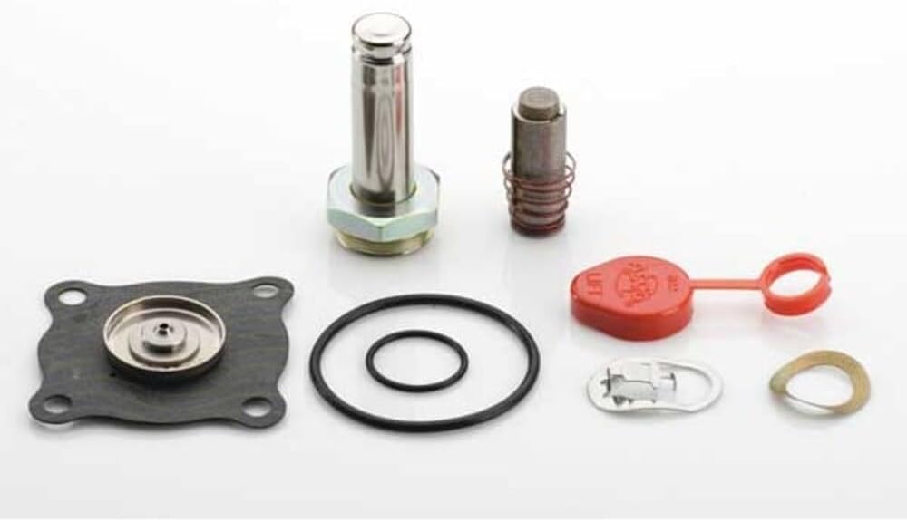 Power Technologies 302276 Asco rebuild kit for 8210AC series valves