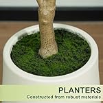 Artificial Olive Tree, 6FT Tall Faux Olive Tree with White Planter, Artificial Plants with Natural Wood Trunk and Lifelike Fruits for Home Office Decor - Image 3