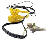 TBWHL Adjustable Parrot Bird Harness Leash Set Anti-bite Training Harness for Parrots Outdoor Flying Rope for Cockatiel Small Birds Cockatiel Monk Parakeet Conure Crested Myna S (Yellow)