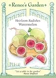 Radishes - Watermelon Seeds