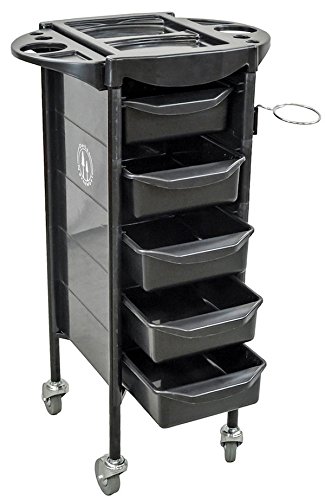 DevLon NorthWest Salon Rolling Cart Beauty Trolley Spa Equipment Beauty Storage Station