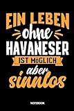  Notebook Ein Leben ohne Havaneser ist möglich aber sinnlos: Notizbuch kariert für Hundebesitzer - 120 Seiten, 6x9 - Journal Planer für Herrchen und Frauchen
