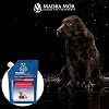 Madra-Mor-Dog-Essentials-Fortifying-Spa-Mud-Dog-Wash-Dog-Grooming-Dry-Skin-for-Dogs-Treatment-Dog-Bath-Dog-Coat-Skin-Care-Products-10oz-Pouch-w-Worldwide-Nutrition-Multi-Purpose-Key-Chain Fortifying Spa Mud for Dogs - Dog Wash and Grooming