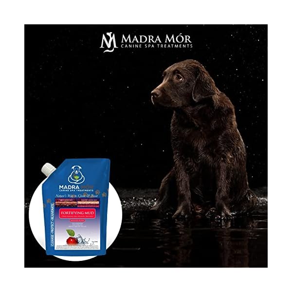 Madra-Mor-Dog-Essentials-Fortifying-Spa-Mud-Dog-Wash-Dog-Grooming-Dry-Skin-for-Dogs-Treatment-Dog-Bath-Dog-Coat-Skin-Care-Products-10oz-Pouch-w-Worldwide-Nutrition-Multi-Purpose-Key-Chain Fortifying Spa Mud for Dogs - Dog Wash and Grooming