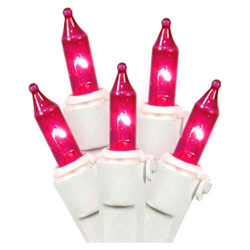 Sienna Set of 100 Super Bright Pink Mini Christmas Lights - White Wire