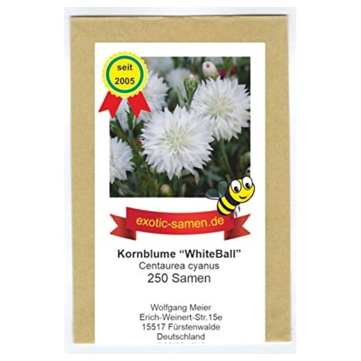 Centaurea cyanus - Bienenweide - Weiße Kornblume "White Ball" - 250 Samen