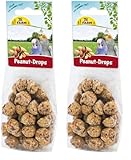 JR Farm Birds Peanut-Drops 100 g (Packung mit 2)