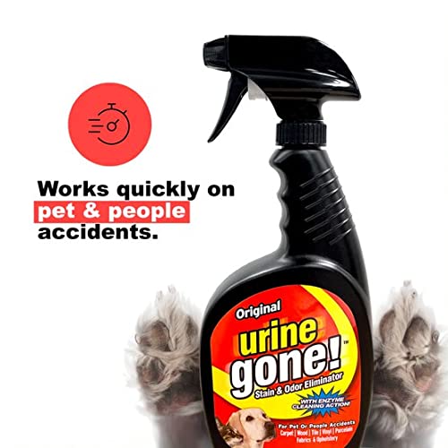 Urine Gone Pet Stain Remover & Odor Eliminator: Heavy Duty Carpet Cleaner Instantly Penetrates And Neutralizes Pet Odors – Fast Acting Enzyme Fabric Cleaner Spray For Dog And Cat 24 Fl Oz (1Pack) #TOP7
