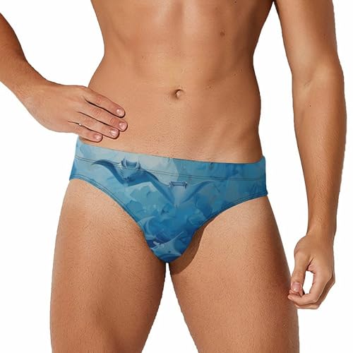Island-Indonesia Manta Rays Mens Swim Briefs Quick Dry Swim Trunk Bikini Underwear Swimsuit 2XL