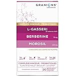 GRANIONS Probiotique Complexe Minceur - Morosil, Berberine, Probiotique Flore Intestinale, Vinaigre de Cidre, Chrome, Lactobacillus Gasseri, Morosil Perte de Poids, Brule graisse Ventre Plat 20 Jours