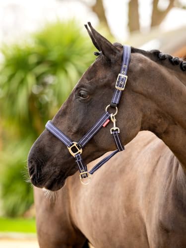 Cabezada JRS Hesadcollar navy azul marino de nailon resistente para caballos 3
