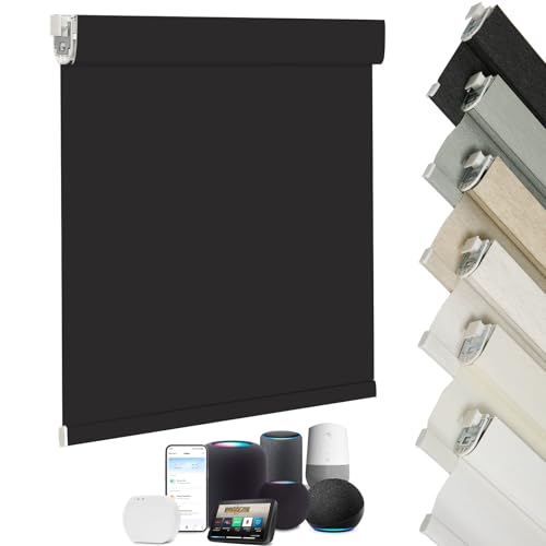 Changshade Motorized Roller Shades for Indoor Windows French Doors Blackout Blinds No Drill No Tools, Thermal Insulated Heat Blocking for Bedroom, Bathroom, Nursey, Basic Black
