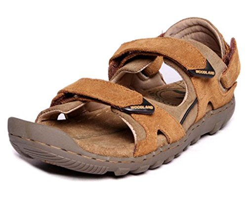 Woodland GD0491108W13 - Camel Casual Sandals for Men Size : (8 UK) or (42  Euro) : Amazon.in: Fashion