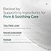 P.CALM Barrier Cycle Toner Pad – 60 Pads with Centella Asiatica & Papaya Extract for Soothing, Moisturizing & Exfoliating, Korean Vegan Facial Toners Pads for Sensitive Skin (160ml / 5.41 fl.oz)