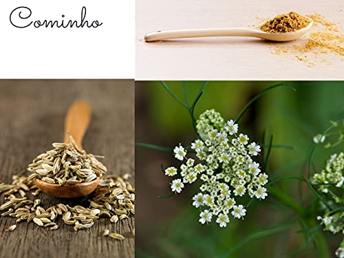 Cominho em pó 100 % Natural Kampo de Ervas Frasco com 60 gr