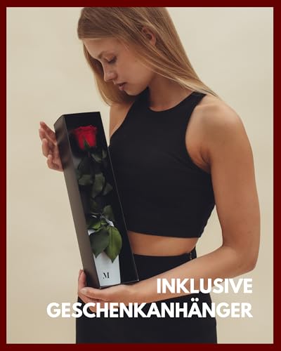 Ewige Rose Mia Milano rot am Stiel (5 Jahre haltbar) in Geschenkbox
