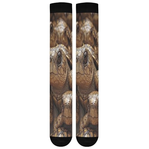 Real Turtle Desert Two Pairs Fun Socks Warm Soft Compression Socks Wear Resisting Easy To Stretch Running Socks4