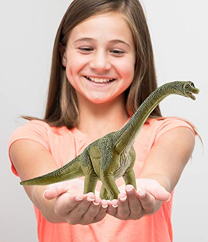 Schleich Dinosaurs, Dinosaur Toy, Dinosaur Toys for Boys and Girls 4-12 Years Old, Brachiosaurus , Green - Image 4