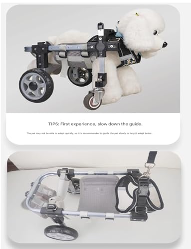 Silla de ruedas para perro, soporte ajustable de cuatro ruedas para una mayor movilidad, lo que permite el movimiento libre para mascotas con movilidad limitada