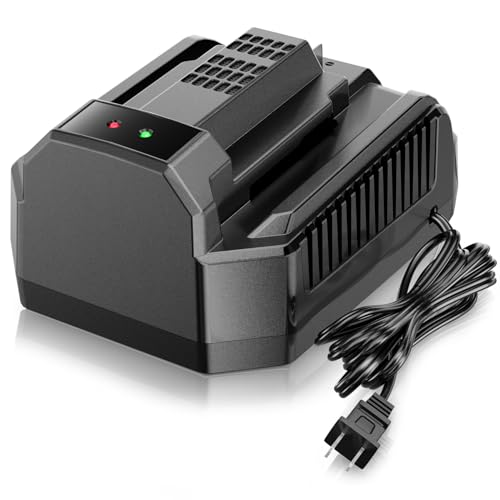 ?Faster? Replacement Charger for EGO Battery Charger 56V Replace for Ego Charger CH3200 CH5500 CH2800D Model CH2100 (2.0)