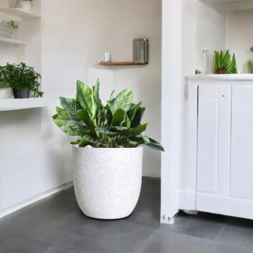 Image of Amazon Brand - Umi 10 Inch Large Plastic Planter Pot for Indoor Outdoor Plants | Big Size Garden Gamla UV Resistant Polymer Flower Pot | White Decorative Pot for Balcony, Garden, Terrace & Home Decor