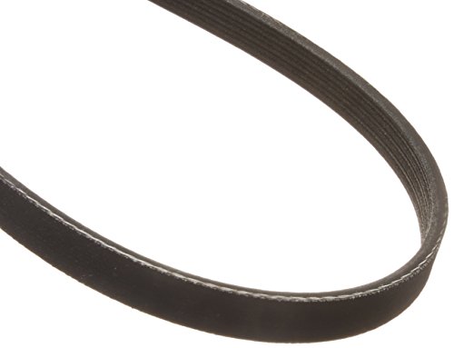 Cinturón Dayco 5040313 serpentina de alta resistencia térmica