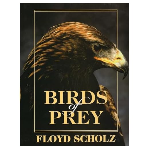 Birds of Prey Book