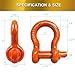 Acando Pack of 2 Orange Powder Coated Heaveduty Trailer Shackles 3/4 Bow Shackle Rugged Steel Forged 4.74 Ton D Ring Anchor 28.5 Ton (57,000 lbs) Max Break Strength Off Road Shackles