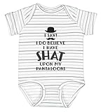 Tstars Funny Baby Bodysuit - I Do Believe I Have Shat Upon My Pantaloons Infant Outfit Gift for Newborn Boy or Girl 12M (6-12M) Gray Stripes