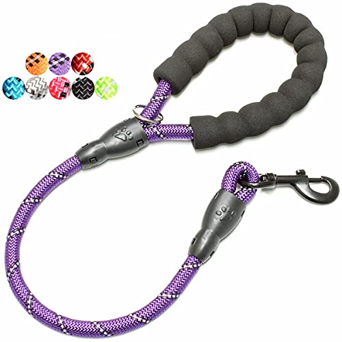 BAAPET 2/4/5/6 FT Dog Leash with Comfortable Padded Handle and Highly Reflective Threads for Small Medium and Large Dogs (2FT-1/2'', Purple)