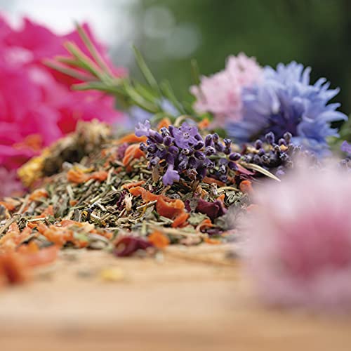 federgold® Vitalmix 300 g – Natürlicher Kräuter-& Blütenmix für Wachteln & Hühner | Mit 6 Kräutern & 6 Blüten | Unterstützt Immunsystem, Verdauung & Vitalität | Ergänzungsfutter ohne Zusätze