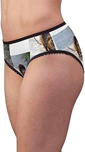 Coon Enjoying Panties, Coon Enjoying Underwear, Briefs, Cotton Briefs, Funny Underwear, Panties For Women