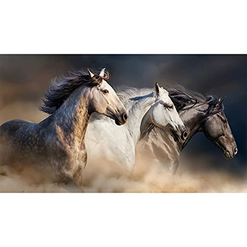 WACYDSD Puzzle 1000 Piezas Tres Caballos Corriendo Arte De La Pared Cartel Foto HD Decoración para...