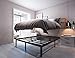 Homdock 14 Inches Metal Platform Bed Frame/Sturdy Strong Steel Structure 3000 lbs Heavy Duty/Noise Free/None Slip Mattress Foundation/No Box Spring Needed/Black Finish (King)
