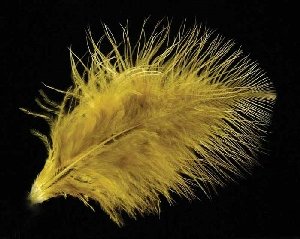 Extra Select Strung Marabou White