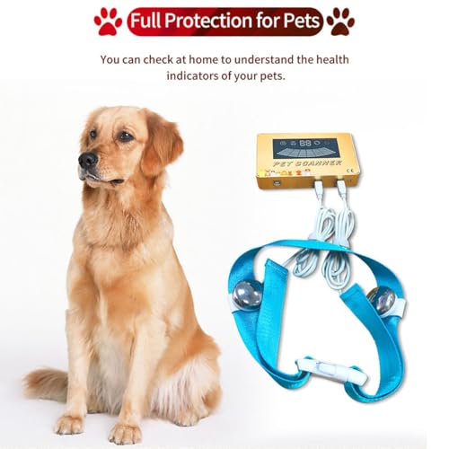 Scanner pour animaux de compagnie à numérisation 3D dynamique et interface multilingue - 3