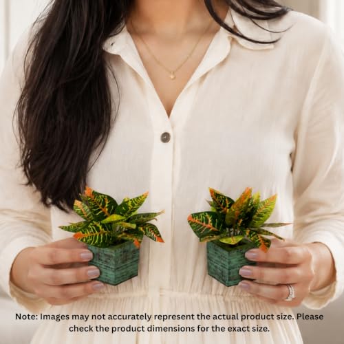 Image of DecoreBugs Artificial Real Touch Flower Plant with Pot (Pack of 2), 16 cm Height, Decorative Faux Floral Plant for Home, Office, Living Room, Bedroom, Table & Shelf Decor