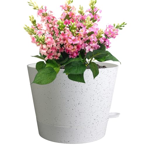 Meowell 12 inch Large Self Watering Pot for Indoor Outdoor Plants by Meowell - Used condition - US$23.74
