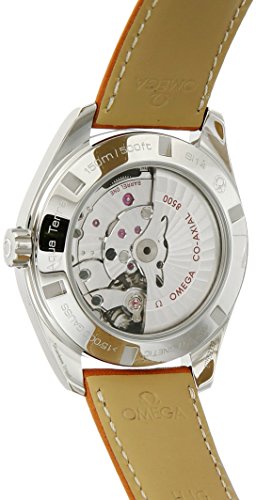 Omega Men's Seamaster150 Analog Swiss Automatic Brown Leather Watch2