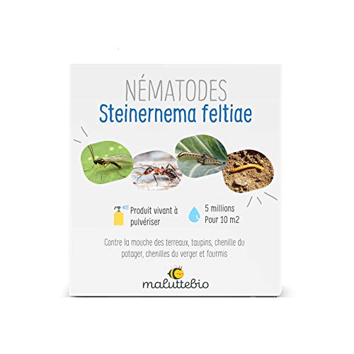 Maluttebio Nématodes SF Anti Mouches des terreaux, taupins, chenilles du Potager et verger et Fourmis - 5M (5 Millions (pour 10 m²)) Cover