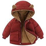 AIWUHE Toddler Winter Coat Boys Girls Down Jacket Hooded Fleece Jackets Warm Outwear 3D Bear Ear Padded Puffer Jacket With Pockets Red 1-2T 90
