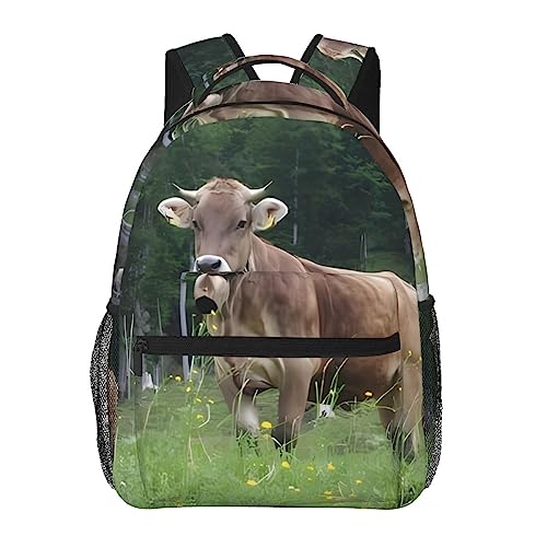 Sac à dos de voyage léger DEHIWI pour protéger votre ordinateur sans vous fatiguer