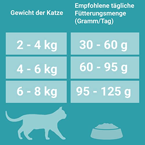 PURINA ONE Bifensis Trockenfutter mit Lachs für ausgewachsene Katzen 1er Pack (1 x 9,75kg)