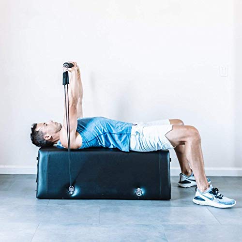 Zeno Gym Workout Bench One | Bench Press | Glute Raises | in-Home Work Out | Made with High-Density Foam | Anti-Slip | 50+ Exercises | Durable and Portable